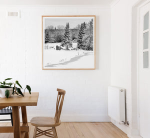 Old fishing hut on the farmland Haliburton Highlands | Photo Art Print fine art photographic print