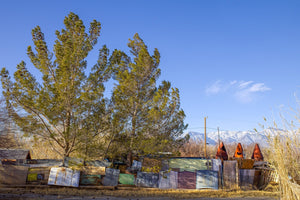 Old rusted car hoods litter | Photo Art Print fine art photographic print