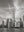 One World Trade Center Cityscape | Photo Art Print fine art photographic print