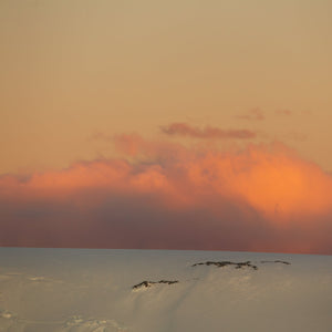 Warm orange clouds over an Antarctic snowfield at sunset