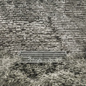 Mur antique toscan et banc envahi par la végétation | Photos Tirage d’art Fine Art impression photographique