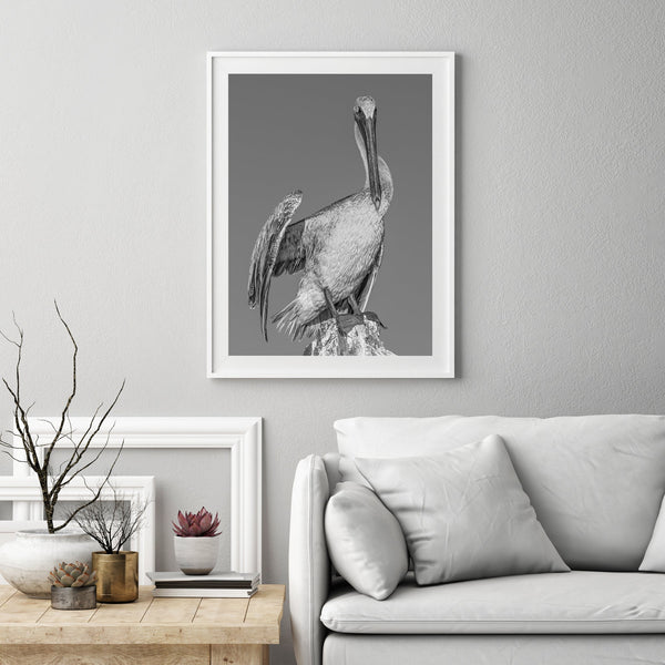 Pelican Wing Spread Florida Keys | Photo Art Print fine art photographic print