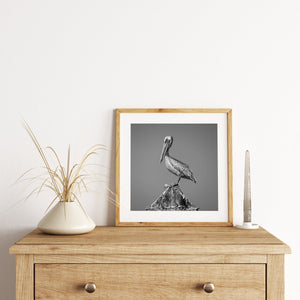 Pelican standing on rusting post Key West Florida | Photo Art Print fine art photographic print