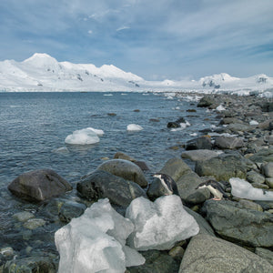 Two penguins standing among shoreline rocks and chunks of Antarctic ice