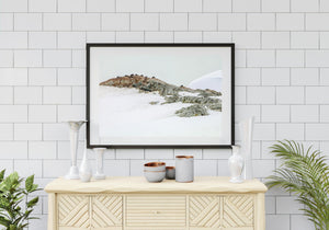 Penguins nesting on the Antarctic rocky landscape | Photo Art Print fine art photographic print