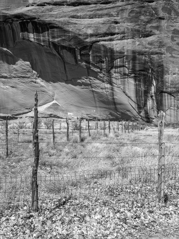 Petroglyphs on Canyon de Chelly | Photo Art Print fine art photographic print