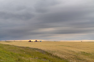 Prairies vast expanse with combines | Photo Art Print fine art photographic print