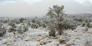 Rare snowy day over Arizona wilderness | Photo Art Print fine art photographic print