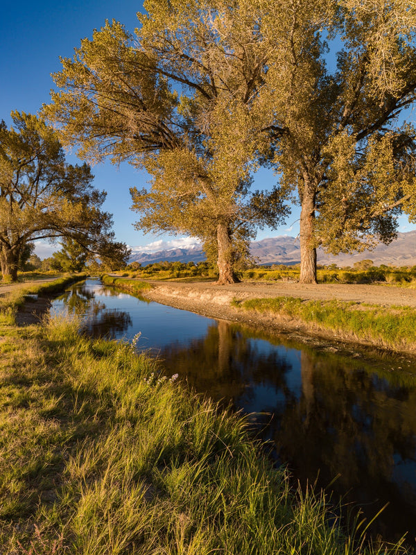 River in the valley California | Photo Art Print fine art photographic print