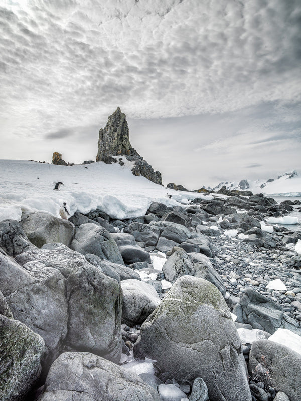 Rocky Antarctica shoreline with penguins in the distance | Photo Art Print fine art photographic print