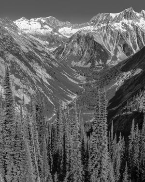 Evergreens filling a deep valley between rugged Rocky Mountain slopes