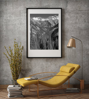 Tall conifers in the foreground of a snowy alpine mountain landscape