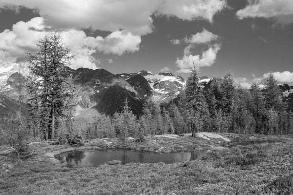 Rocky Mountain Pond and Forest | Photo Art Print fine art photographic print