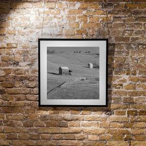 Rolling hills in Romanian farmland | Photo Art Print fine art photographic print