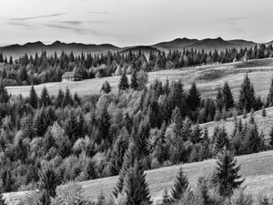Colline roumaine avec meules de foin | Photos Tirage d’art Fine Art impression photographique
