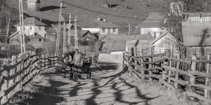 Romanian couple pulling horse drawn cart | Photo Art Print fine art photographic print