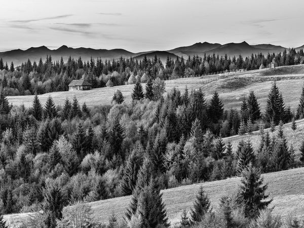 Romanian hillside with hay stacks | Photo Art Print fine art photographic print