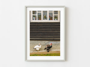 Romanian home with roosters | Photo Art Print fine art photographic print