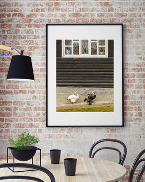 Romanian home with roosters | Photo Art Print fine art photographic print