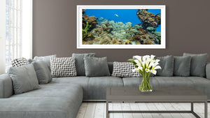 School yellow silver fish on the reef in Bahamas | Photo Art Print fine art photographic print