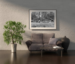 Scrap car wall in Northern Ontario | Photo Art Print fine art photographic print