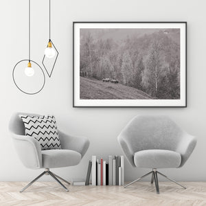 Sheep on a Romanian hillside | Photo Art Print fine art photographic print