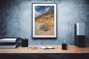 Ship line washed up on beach Marthas Vinyard | Photo Art Print fine art photographic print