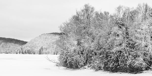 Shoreline Lake Miskwabi in Haliburton | Photo Art Print fine art photographic print