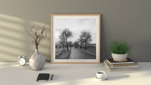 Small Czech rural country road | Photo Art Print fine art photographic print