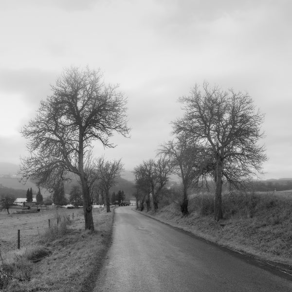 Small Czech rural country road | Photo Art Print fine art photographic print