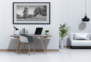 Small vineyard in Napa Valley at sunset | Photo Art Print fine art photographic print