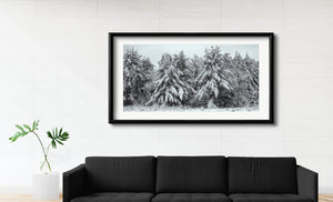 Snow Covered Trees in Haliburton Highlands Canada | Photo Art Print fine art photographic print