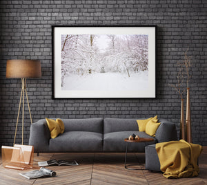 Snow covered tree branches bending over | Photo Art Print fine art photographic print