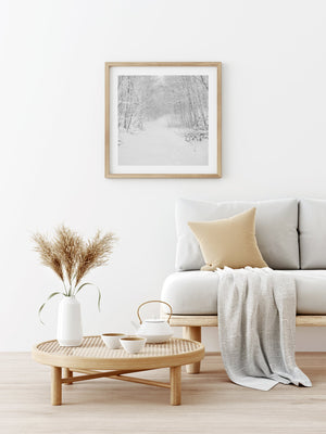 Snowcovered trees down the quite forest in Northern Canada | Photo Art Print fine art photographic print