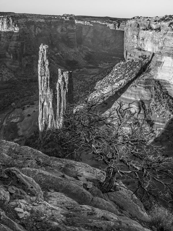 Spider Rock with tree Canyon de Chelly | Photo Art Print fine art photographic print