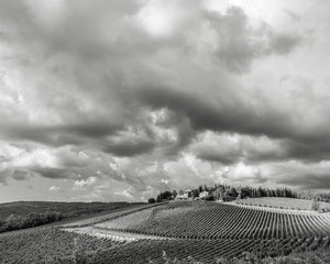 Storm clouds move in over Tuscan Vineyard | Photo Art Print fine art photographic print