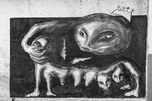 Strange creature wall art Havana | Photo Art Print fine art photographic print