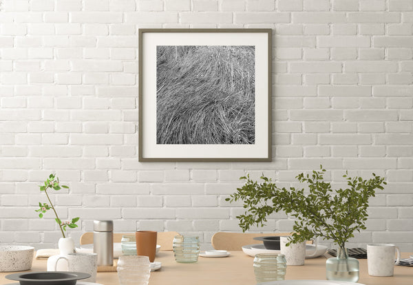 Straw grass laying down | Photo Art Print fine art photographic print