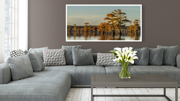 Sunset over Caddo Lake Cypress Trees | Photo Art Print fine art photographic print
