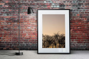 Sunset through the trees | Photo Art Print fine art photographic print