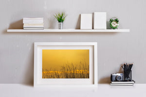 Panoramic nature photograph of silhouetted grasses in golden evening light.