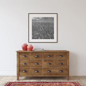 Tallgrass Florida Everglades in black and white | Photo Art Print fine art photographic print