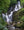Kaskadierender Torc-Wasserfall Irland | Foto Kunstdruck Fine Art Fotodruck