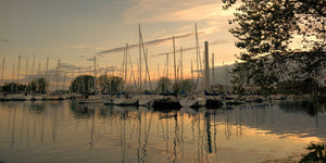 Toronto Island marina with rows of masts and golden evening reflections