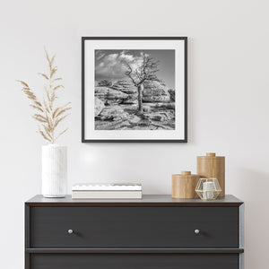 Tree against the rocks Monument Valley | Photo Art Print fine art photographic print