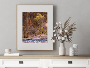 Tree by the rock bed creek | Photo Art Print fine art photographic print