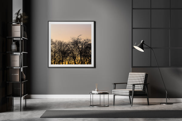 Tree silhouette on a sunset sky | Photo Art Print fine art photographic print
