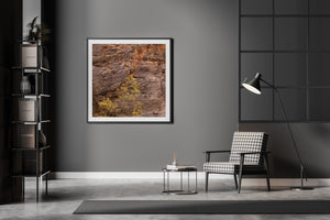 Tree with yellow leaves against Canyon wall Zion | Photo Art Print fine art photographic print