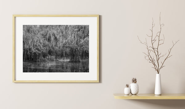 Trees covered in Spanish Moss Caddo Lake | Photo Art Print fine art photographic print