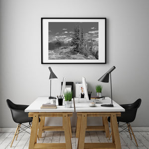 Trees in the Rocky Mountains | Photo Art Print fine art photographic print